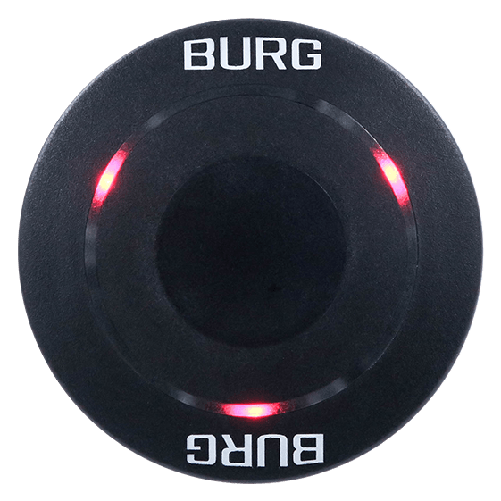 Burg Corona - Image 2